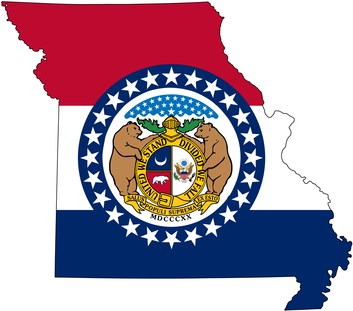 St louis MS Web Forms VS development